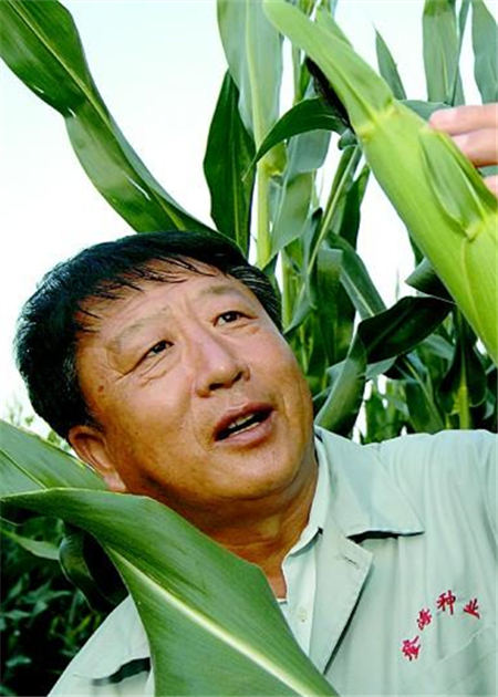 李登海                  “中國緊湊型雜交玉米之父”