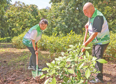 使用積分   植樹活動   潘艷（左）在綠芽低碳森林參與公益植樹志願服務活動。