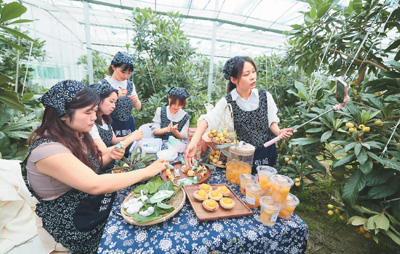 五月十一日，在浙江省杭州市塘北村枇杷標准化種植基地的大棚內，工作人員通過直播的方式向觀眾介紹塘棲枇杷以及枇杷衍生產品。新華社記者 徐 昱攝