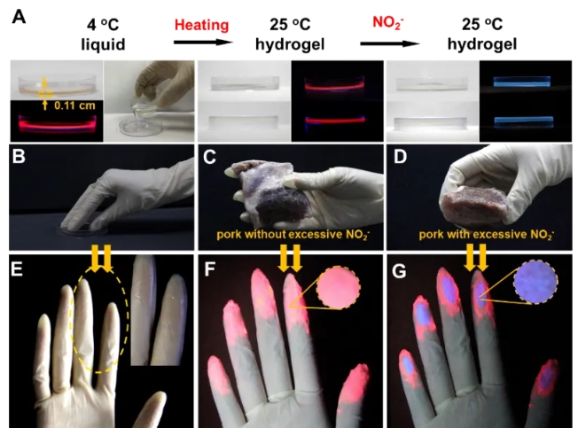A-G. 比率荧光材料结合手套传感器检测亚硝酸盐的示意图。图片来源：作者文章