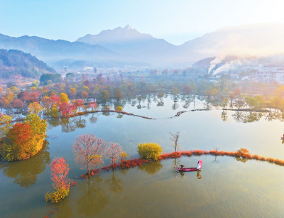 立冬临近，湖北省黄冈市罗田县九资河镇红叶观赏带，乌桕树叶灿烂如霞，吸引了众多游客前来观赏。 王 江摄（人民视觉）