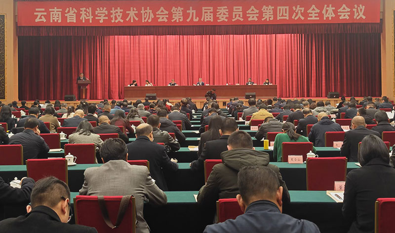 会议现场。云南省科协供图