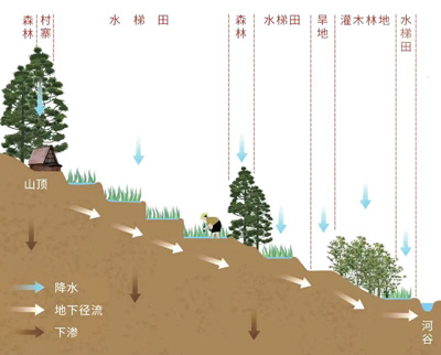 哈尼梯田“四素同构”景观示意图。星球研究所供图