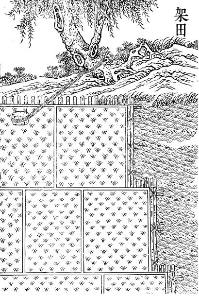 《王禎農書》架田圖