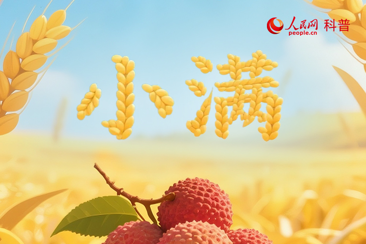小满不“满”，藏着农耕与养生的双重奥秘
