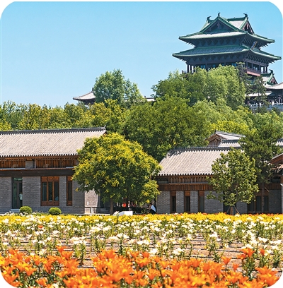世园公园百合资源圃。