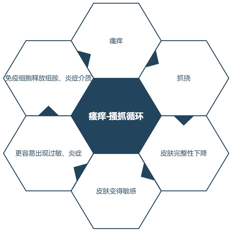 瘙痒-搔抓循環（圖片來源：作者自制）