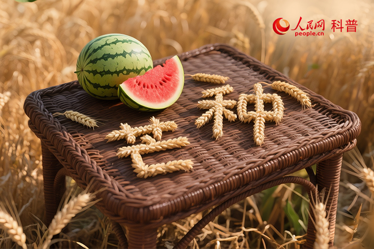 芒種“忙”什麼？看古人種地，學今人養生