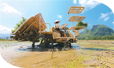 月13日，湖南省湘西土家族苗族自治州龙山县召市镇前卫村，农机操作手驾驶插秧机进行插秧。   曾祥辉摄（人民图片）