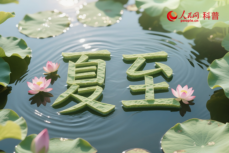 夏至