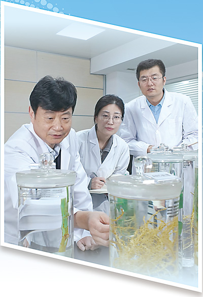 李培武（左一）在实验室指导团队研究。   中国农科院油料所供图