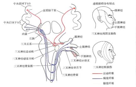 񾭴ͨ·ʾͼԴʮ塱ͨߵȽ*滮̲ġȫߵѧУ̲ģ񾭲ѧ7棩