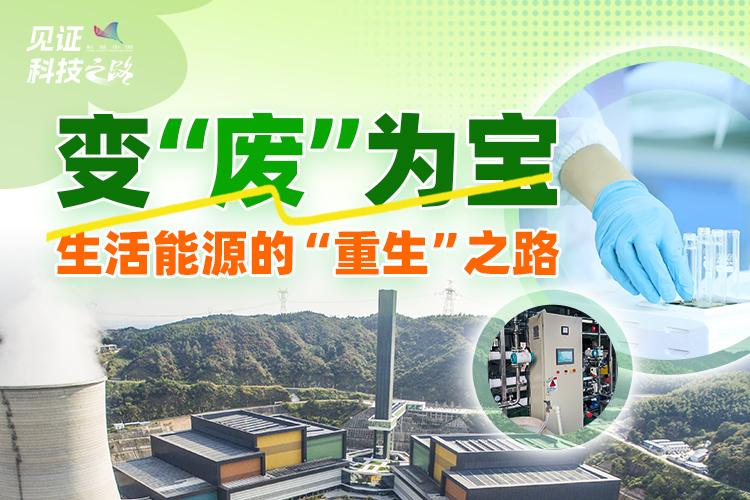 变“废”为宝 生活能源的“重生”之路