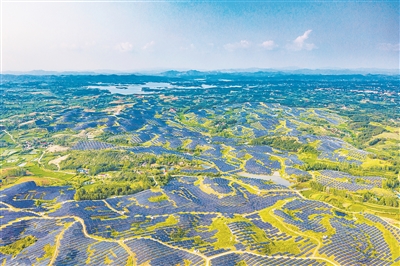图为湖北省随州市淅河镇晶泰光伏电站。夏一菲摄