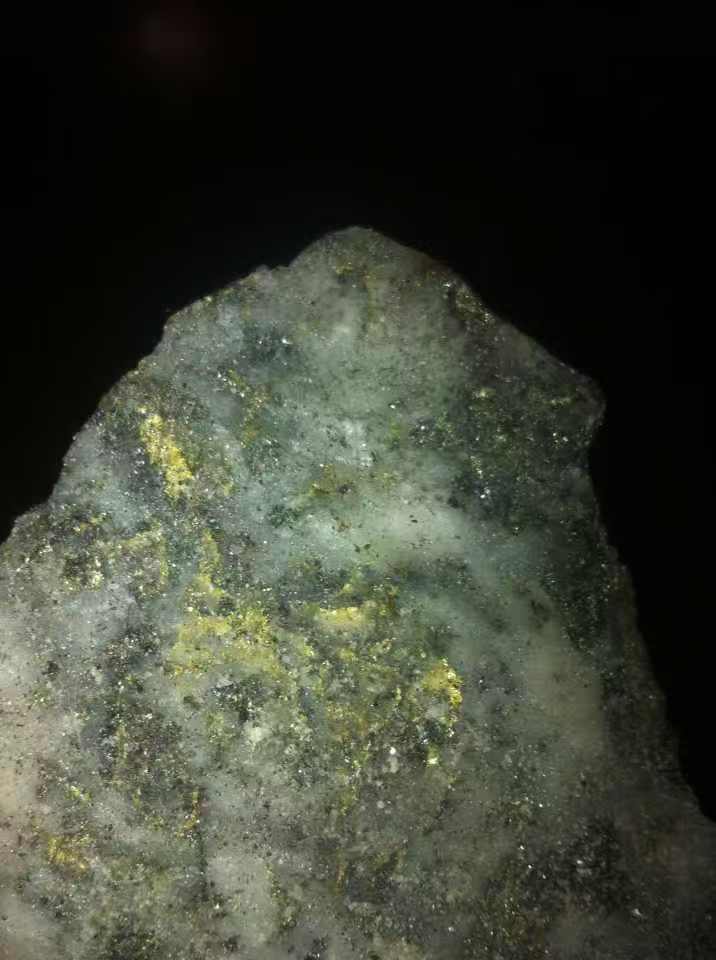 图中亮黄色的是黄金，暗色的是黄铁矿。山东省地矿局第六地质大队供图