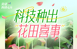 科技种出“花田喜事”从实验室到田间地头，从新品培育到技术推广，从生产管理到市场拓展，科技正成为云南丽江花卉产业发展的强大引擎。