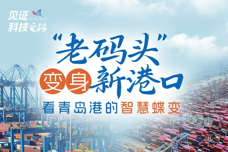 “老码头”变身新港口，看青岛港的智慧蝶变