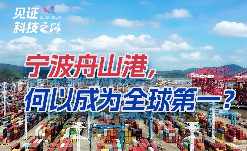 宁波舟山港，何以成为全球第一？
