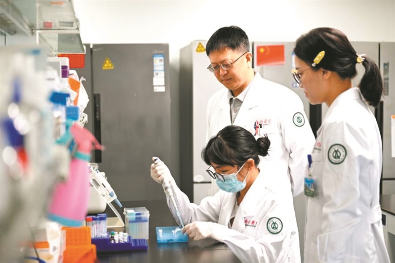   陆军军医大学新桥医院血液病医学中心研究团队正在研究。 受访者供图
