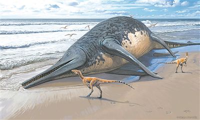 古代巨型魚龍可能長達25米，是普通公共汽車長度的兩倍。巨型魚龍看起來像現代海豚，最早是在大約2.5億年前的三疊紀早期進化而來的。圖為被沖上海灘的巨型魚龍尸體（藝術想象圖）。圖片來源：謝爾蓋·克拉索夫斯基