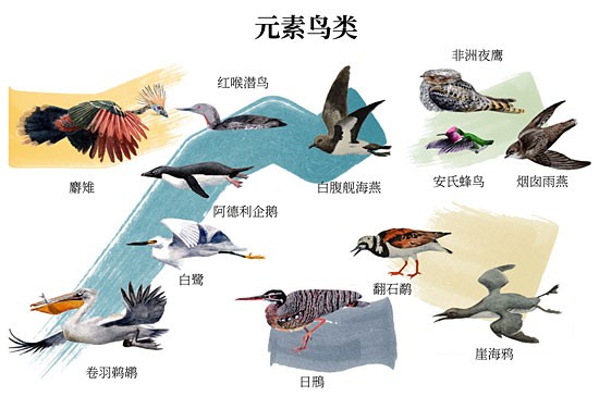 本文圖片均由浙江大學生命演化研究中心提供