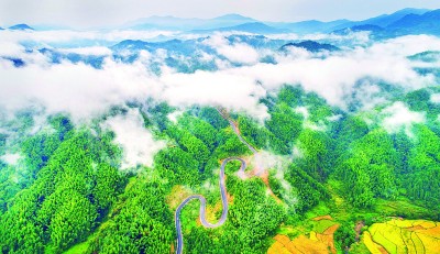 九岭山国家级自然保护区风光 聂丽红摄/光明图片