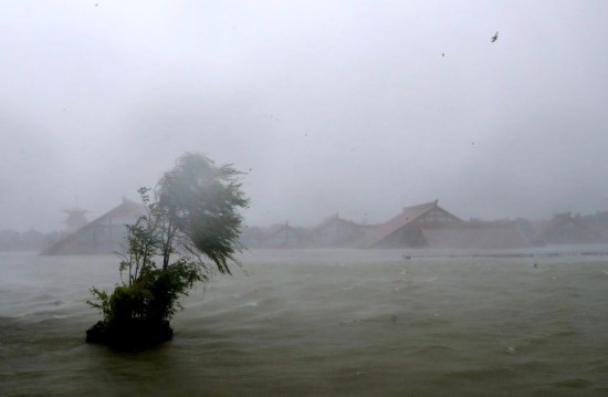 9月16日拍攝的強台風“貝碧嘉”到來時的上海鬆江廣富林遺址公園。新華社記者 方喆 攝