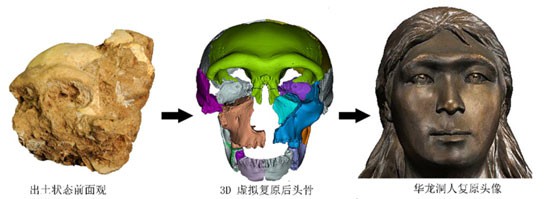 華龍洞遺址2015年發現的人類頭骨化石及其復原。中國科學院古脊椎動物與古人類研究所供圖