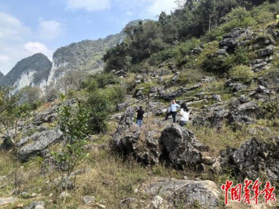 广西环江的喀斯特地貌。中青报·中青网记者 李瑞璇/摄