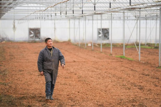  2月20日，在湖南省浏阳市龙伏镇的瑞康农机专业合作社，工作人员在智慧育秧大棚检查水肥一体化装置的喷灌头。新华社记者 陈泽国 摄