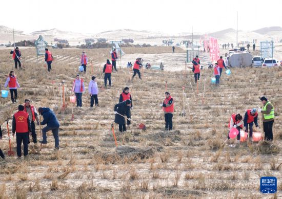 2月28日，在巴丹吉林和騰格裡兩大沙漠交匯處的阿拉善九棵樹項目區，干部群眾在沙漠中種植梭梭。新華社發（康文魁攝）