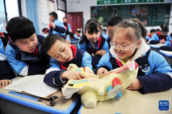 3月3日，在湖北省宜昌市秭归县实验小学，学生们了解耳朵构造。新华社发（王辉富摄）