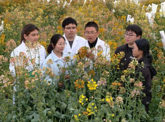 在江西农业大学的试验田内，付东辉和学生正在比对不同颜色的油菜花。（受访者供图）