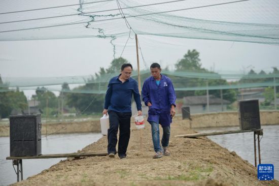  在四川省眉山市彭山区，谭周亮（左）在与当地一名水产养殖户交流（2022年4月13日摄）。 新华社记者 刘坤 摄