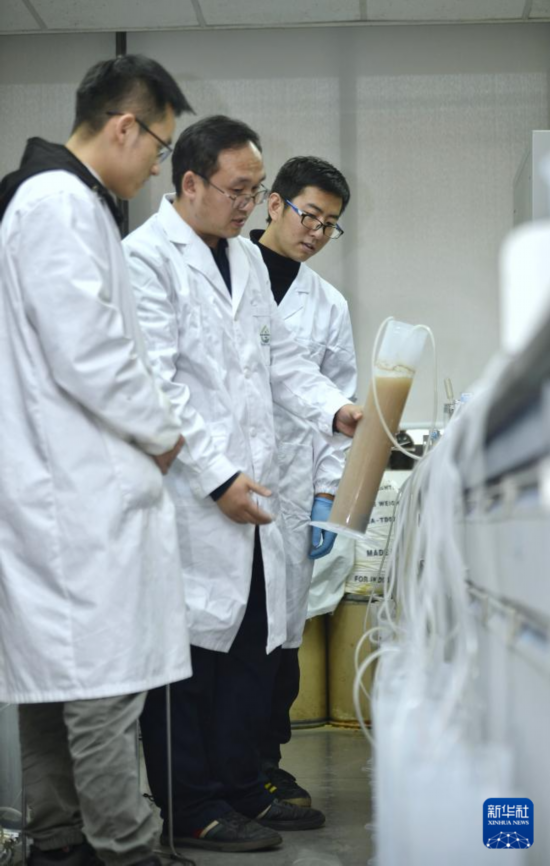  在中国科学院成都生物研究所实验室，合成微生物组与污水资源化创新团队科研人员在商讨实验方案（2021年12月6日摄）。  新华社记者 刘坤 摄