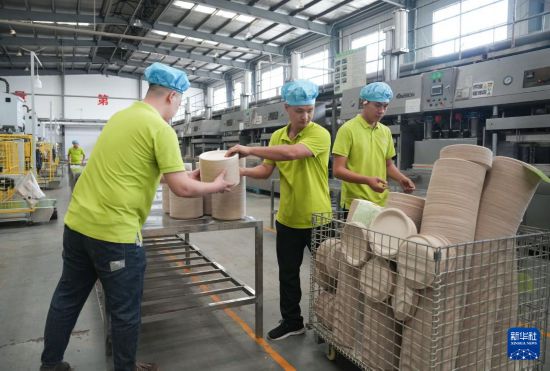 4月15日，工作人員在位於雲南省臨滄市的綠賽可新材料（雲南）有限公司生產車間將可降解餐具產品裝車。新華社記者 陳欣波 攝