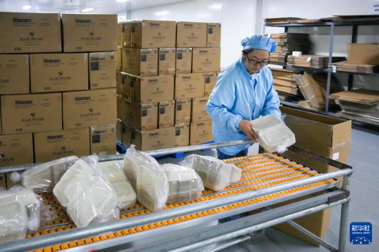 4月15日，工作人員在位於雲南省臨滄市的綠賽可新材料（雲南）有限公司包裝車間內將產品裝箱打包。新華社記者 陳欣波 攝