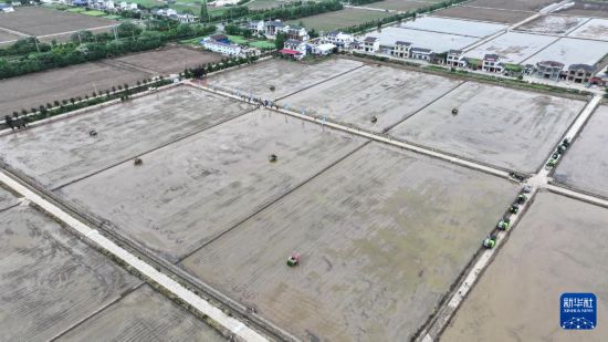 4月23日，無人駕駛插秧機在湖南省益陽市南縣南洲鎮班嘴村農田裡作業（無人機照片）。新華社記者 陳振海 攝