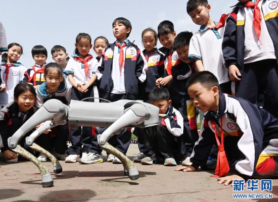 5月9日，在河南省沁陽市永威學校第五屆校園科技節上，小朋友在與機器狗互動。新華網發（楊帆 攝）