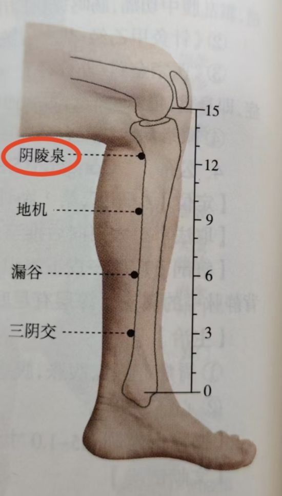 圖中標紅為陰陵泉穴。（受訪者供圖）