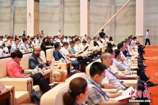 图为大会开幕式。中新社记者 陈楚红 摄