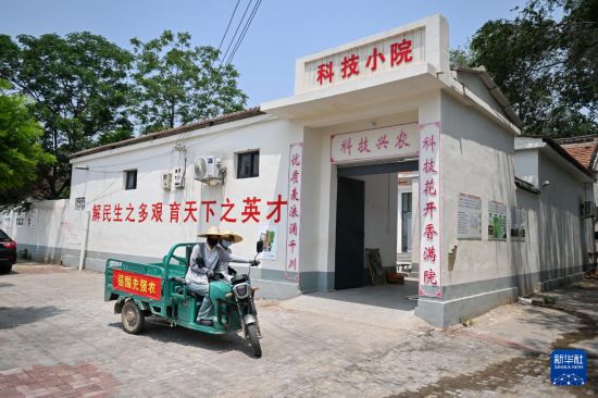 5月26日，河北省曲周縣劉庄科技小院的學生駕駛三輪車去試驗田工作。新華社記者 牟宇 攝