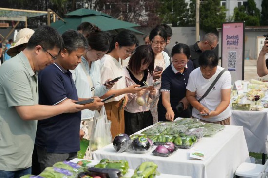 市民正在市集上通過掃描“JN碼”了解蔬菜信息。新華社發