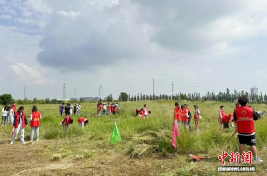 内蒙古花粉过敏季提前来袭：从患者困境到全域防控