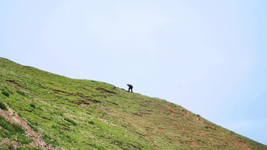 孫寶洋在一處山坡上採集土壤樣本。新華社記者 邱婧熠 攝