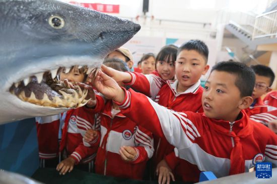   9月8日，在甘肅省定西市舉辦的“山海相依，筑夢蔚藍”山東青島·甘肅定西海洋科普東西部協作主題活動中，定西市安定區關川實驗學校的學生在觀看海洋生物標本。       新華社發（王克賢攝）