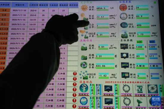 9月18日,技術員通過屏幕監控大棚內蔬菜生長情況。