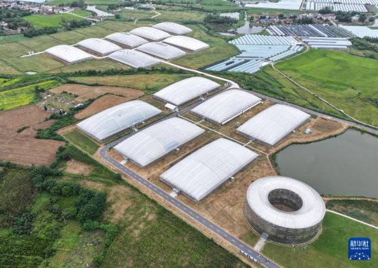 這是9月18日拍攝的安徽霧耘農業科技有限公司蔬菜大棚(無人機照片)。