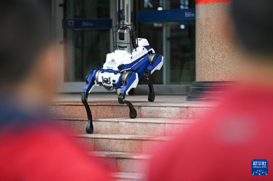 10月14日，新疆生產建設兵團第一中學學生觀看智能機器狗進行復雜運動。新華社記者 王菲 攝