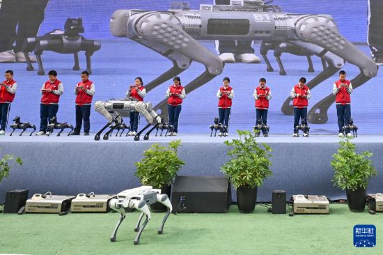 10月13日，新疆生產建設兵團第一中學學生在科技節開幕式上操控智能機器狗。     新華社記者 王菲 攝